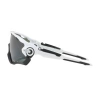 OAKLEY JAWBREAKER POLISHED PRIZM
