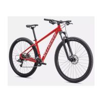 BICI SPECIALIZED ROCKHOPPER 29