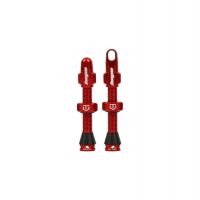 COPPIA VALVOLE TUBELESS HOPE 40MM COMPATIBILI CON INSERTI