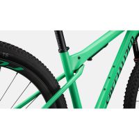 BICI SPECIALIZED EPIC WC EXPERT