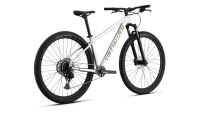 BICI SPECIALIZED ROCKHOPPER EXPERT 2025