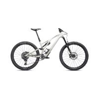 SPECIALIZED STUMPJUMPER EVO EXPERT BIKE