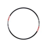 DT SWISS XM 421 29 32 HOLES RIM