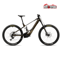 ORBEA WILD M20 BIKE