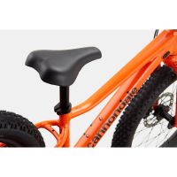 BICI CANNONDALE BIMBO KIDS TRAIL PLUS 20