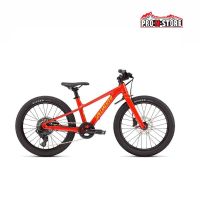BICI SPECIALIZED BAMBINO RIPROCK 20