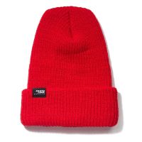 SANTA CRUZ PORT STRIKE BEANIE