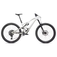 BICI SPECIALIZED STUMPJUMPER EVO EXPERT S3 BRCH/TPE 96323-3003