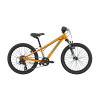 BICI CANNONDALE BIMBO TRAIL 20