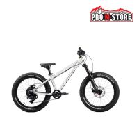 BICI BAMBINO EARLY RIDER SEEKER X 20