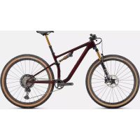BICI SPECIALIZED EPIC EVO PRO
