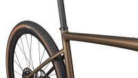BICI SPECIALIZED DIVERGE EXPERT CARBON