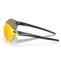 OCCHIALI OAKLEY RE:SUBZERO CARBON FIBER W PRIZM RUBY OO9098-0248