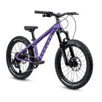 BICI BAMBINO EARLY RIDER SEEKER X 20