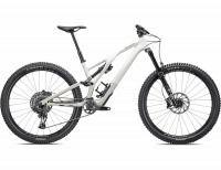 BICI SPECIALIZED STUMPJUMPER EVO EXPERT