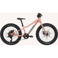 BICI CANNONDALE BIMBO KIDS TRAIL PLUS 20