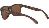 OCCHIALI OAKLEY FROGSKINS MATTE TORTOISE PRIZM TUNGSTEN OO9013-C555