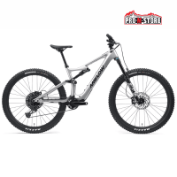 BICI AMFLOW PL CARBON 800 WH