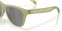 OCCHIALI OAKLEY FROGSKINS MATTE FERN PRIZM BLACK POLARIZED OO9013-M255
