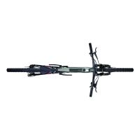 BICI FOCUS THRON2 6.8 ABS 800WH