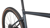BICI SPECIALIZED DIVERGE EXPERT CARBON