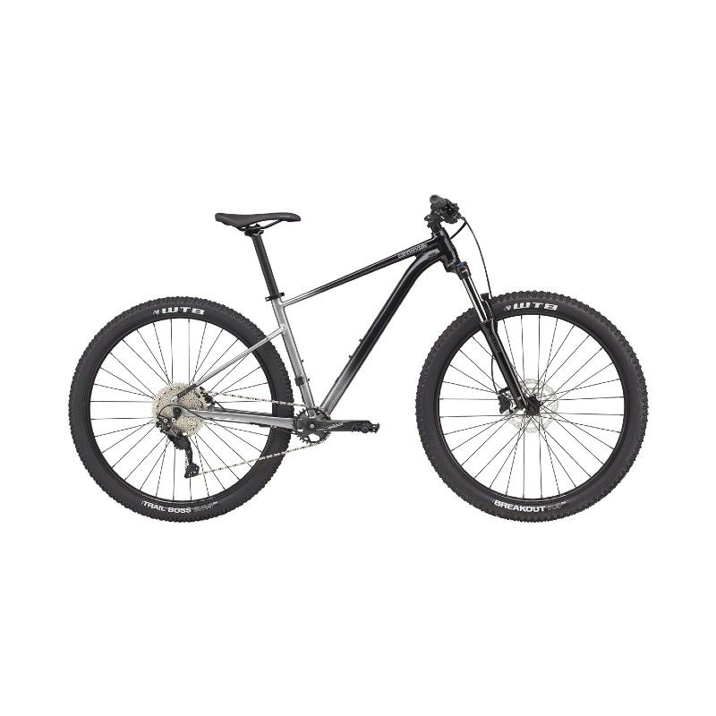 BICI CANNONDALE TRAIL SL 4