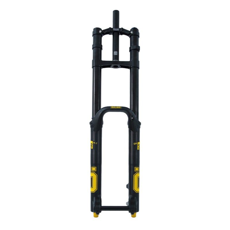 Ohlins dh on sale shock