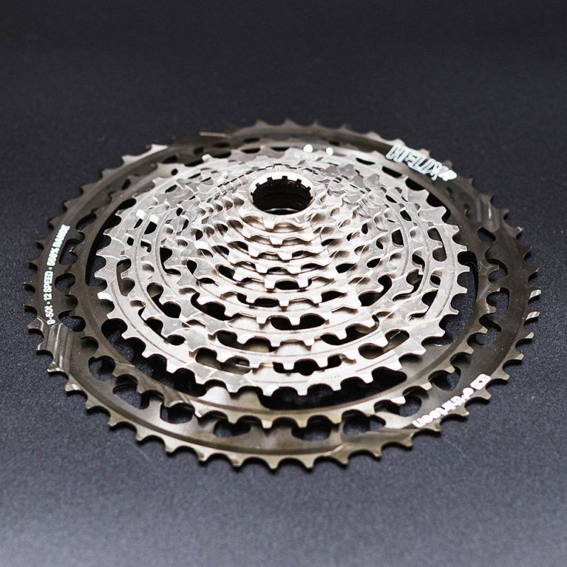 CASSETTA E-THIRTHEEN HELIX RACE 12V 9-50T GRIGIA