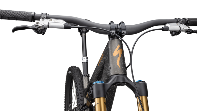 BICI SPECIALIZED S-WORKS STUMPJUMPER 15