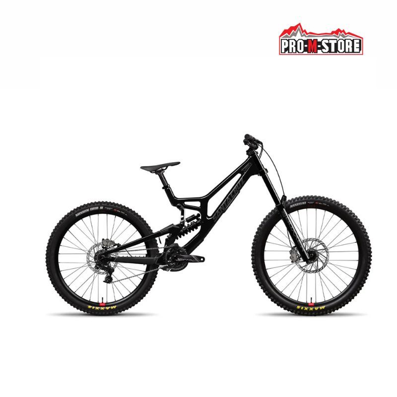 BICI SANTA CRUZ V10 8 CC S 29