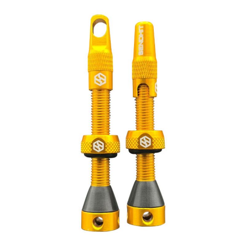 SEND-HIT PAIR OF TUBLESS VALVES GLD