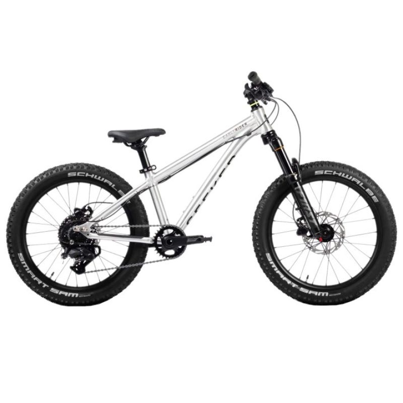 BICI BAMBINO EARLY RIDER SEEKER X 20
