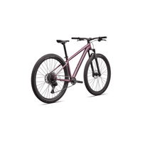 BICICLETA SPECIALIZED ROCKHOPPER EXPERT