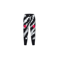 PANTALON FOX MTB RANGER YOUTH DIGI IMAGE