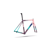 TELAIO SPECIALIZED S-WORKS CRUX