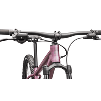BICICLETA SPECIALIZED ROCKHOPPER EXPERT