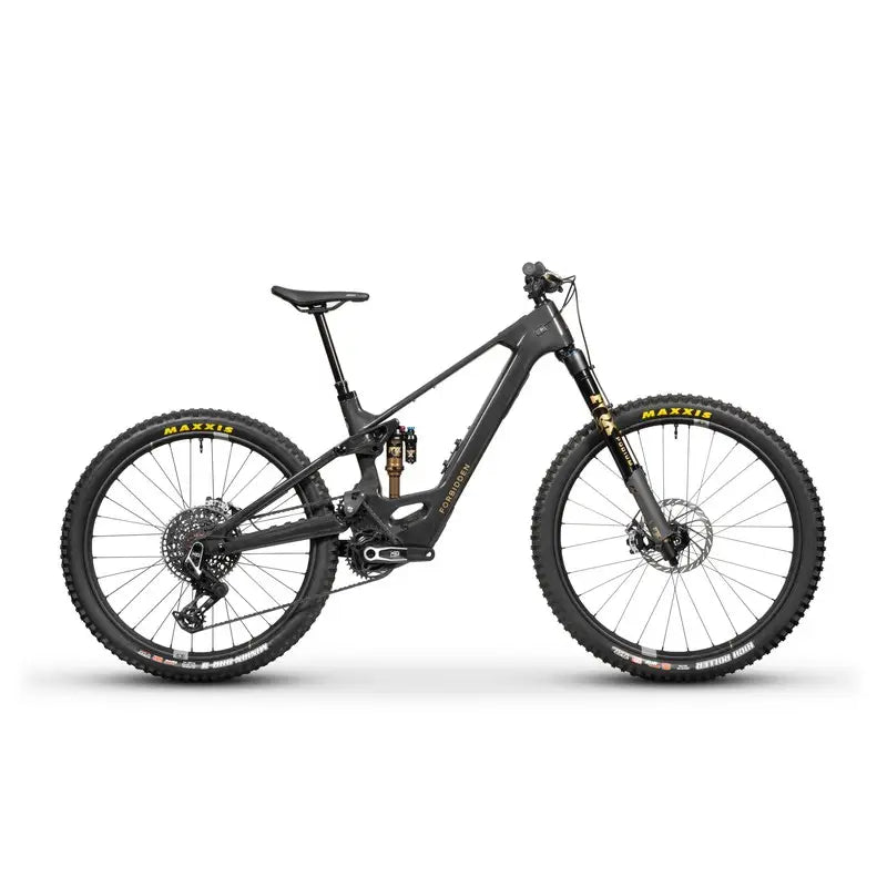 BICICLETA FORBIDDEN DRUID E T1 800 WH
