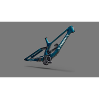 CADRE SPECIALIZED S-WORKS DEMO 11