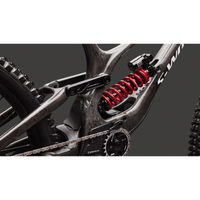 VÉLO SPECIALIZED S-WORKS DEMO 11