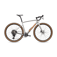BICI SPECIALIZED DIVERGE 4 COMP CARBON