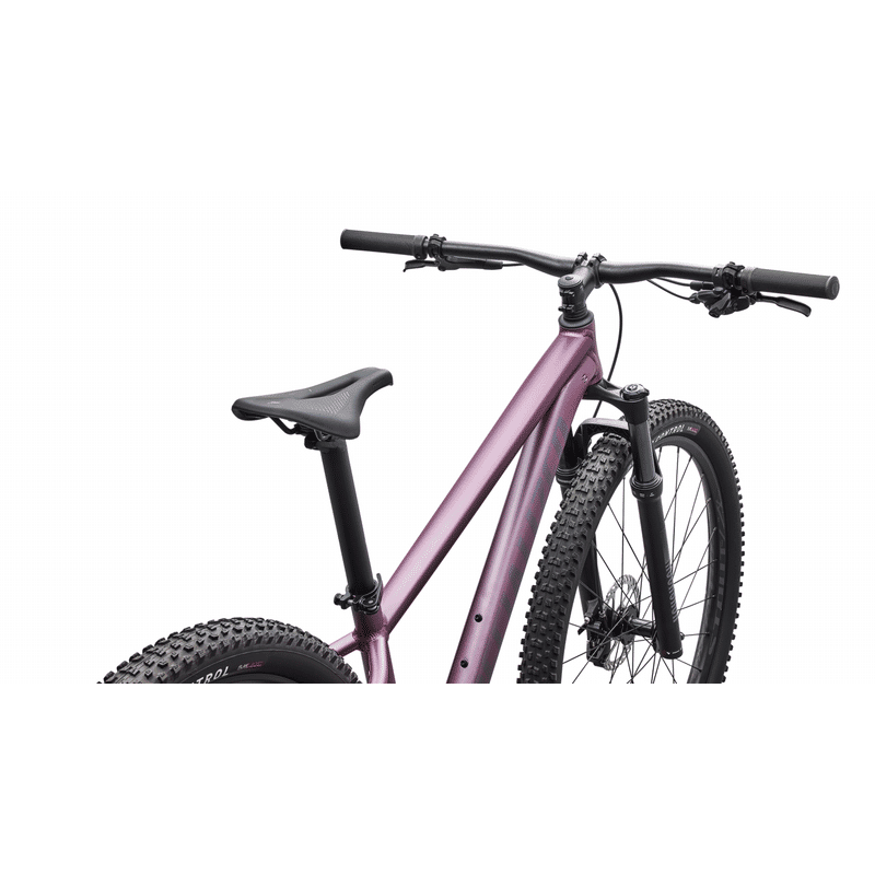 BICICLETA SPECIALIZED ROCKHOPPER EXPERT