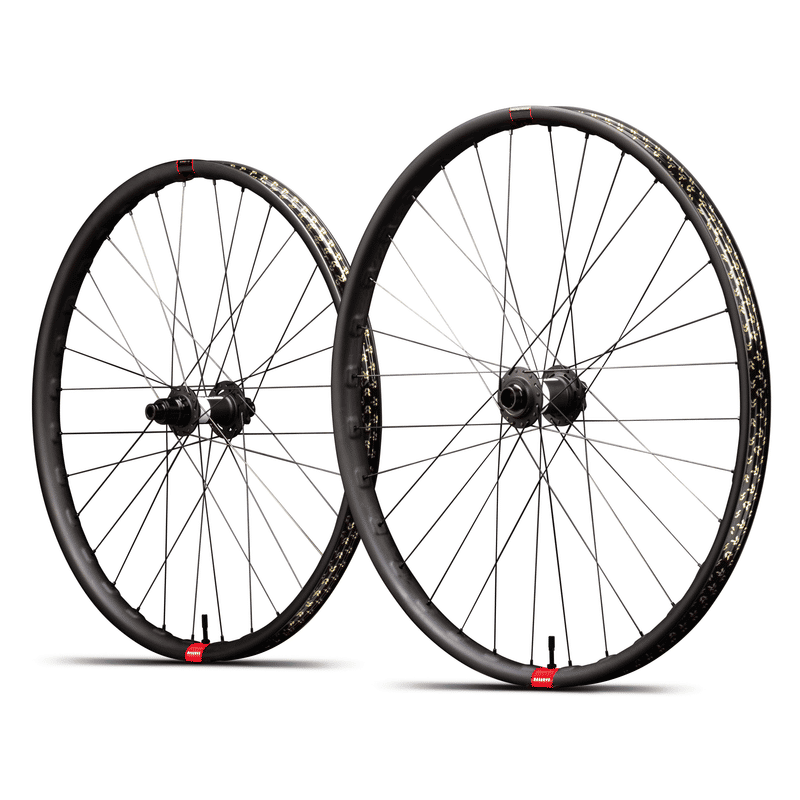 RUOTE SANTA CRUZ RESERVE HD 30 MX DT 350 6 BULLONI 110X157 XD