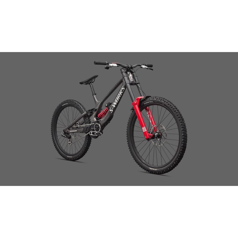 VÉLO SPECIALIZED S-WORKS DEMO 11