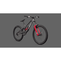 VÉLO SPECIALIZED S-WORKS DEMO 11