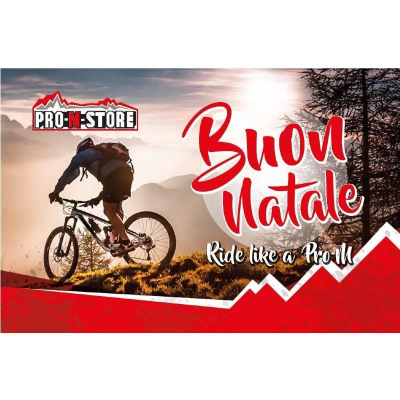 KARTA PODARUNKOWA - BON PODARUNKOWY 250