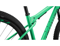 BICI SPECIALIZED EPIC WC EXPERT