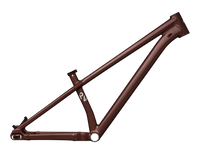 TELAIO SPECIALIZED P.4