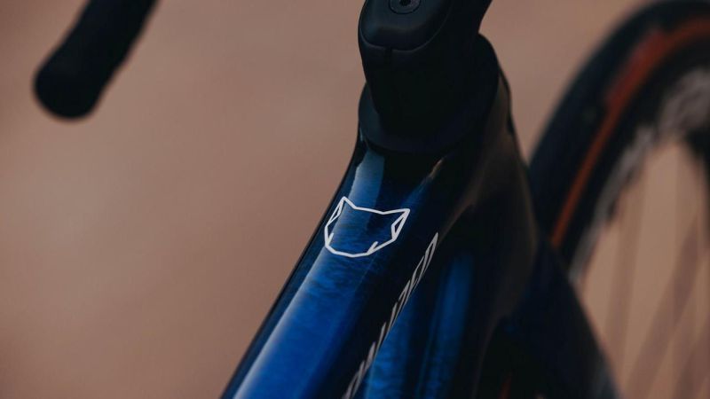 TELAIO SPECIALIZED S-WORKS TARMAC SL8 SOUDAL QUICK-STEP