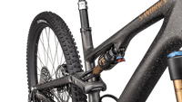 BICI SPECIALIZED S-WORKS STUMPJUMPER 15