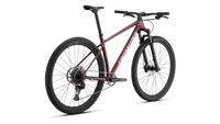 BICI SPECIALIZED CHISEL HARDTAIL 25